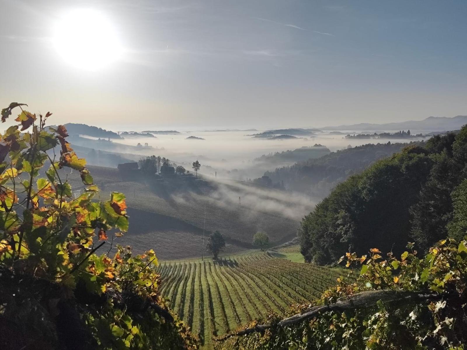 Weingut Fellner Leutschach Exterior foto