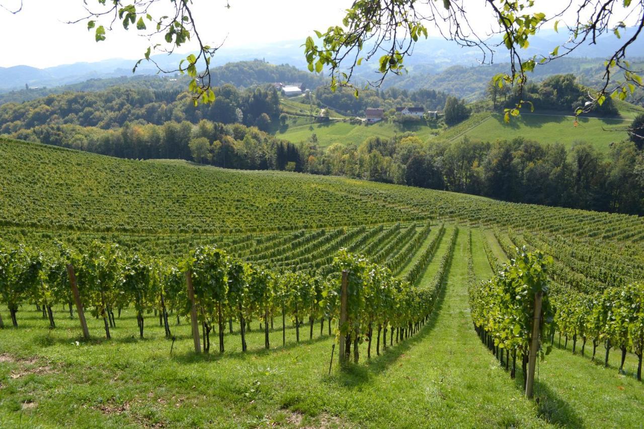 Weingut Fellner Leutschach Exterior foto